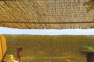 toldo de bambu